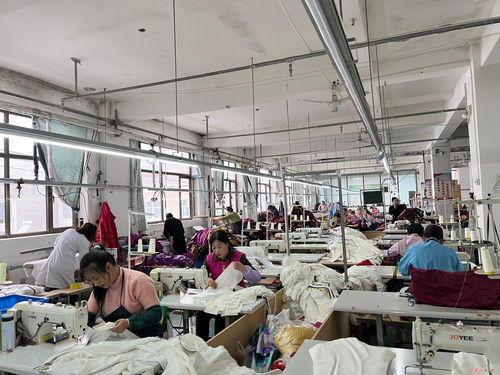 莊浪制衣廠 縫紉機(jī)聲奏響“開(kāi)門(mén)紅” 數(shù)字工程織就發(fā)展新藍(lán)圖