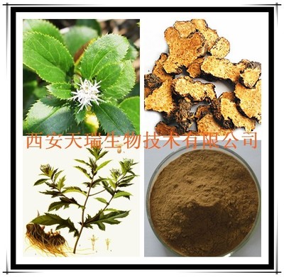 蒼術浸膏粉 植物提取物研發的前沿探索與應用價值